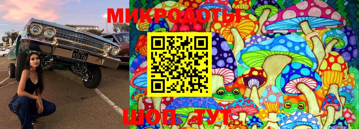 Сибай  Псилоцибиновые грибы прущие грибы  Вход с VPN 